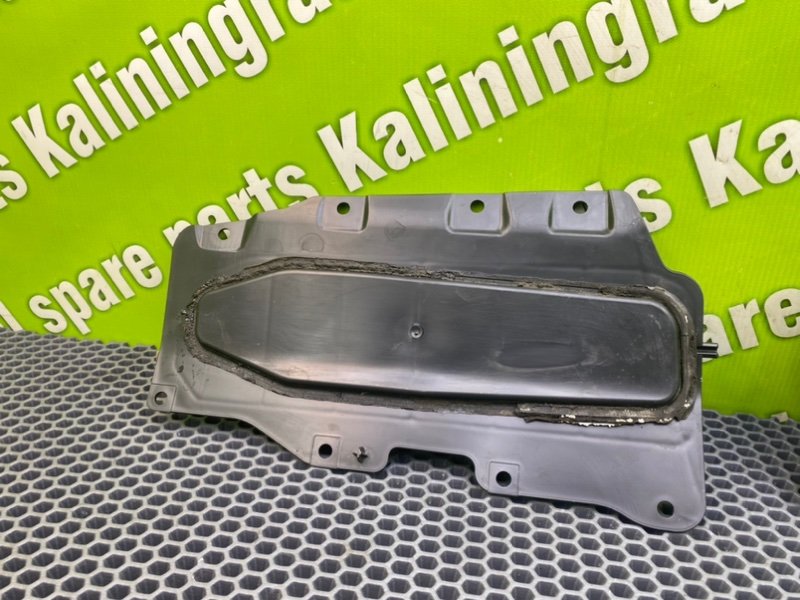 Накладки, 1000 рублей, Калининград