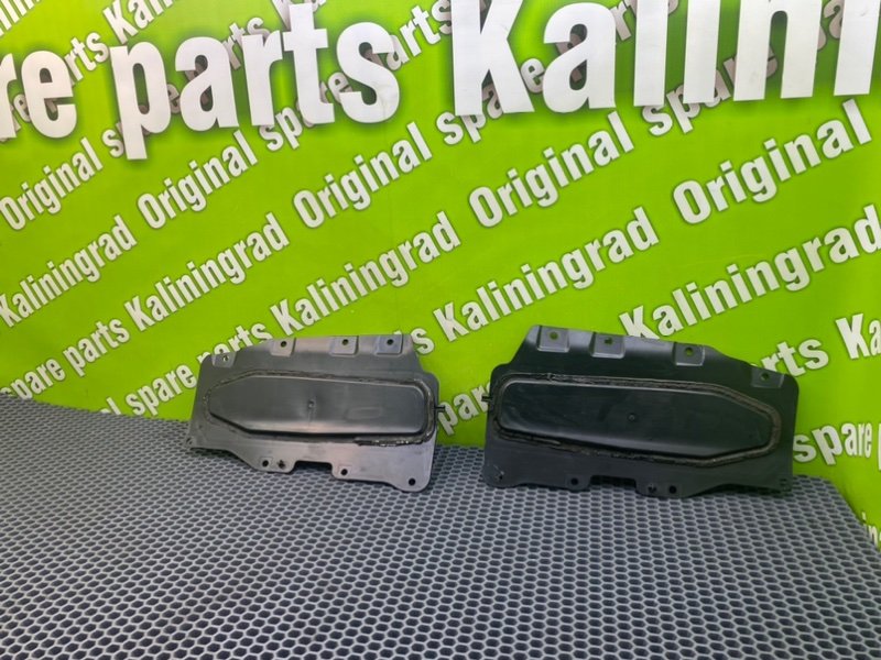 Накладки, 1000 рублей, Калининград