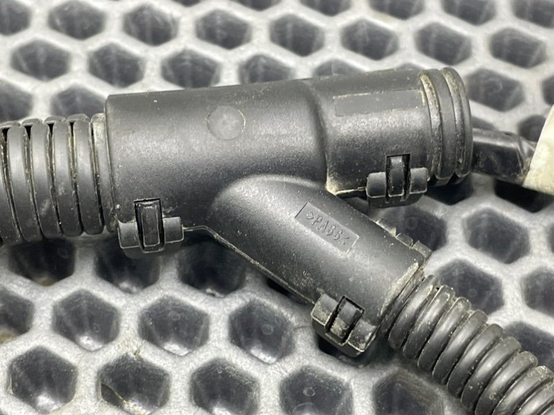 Проводка бензонасоса, 1000 рублей, Калининград