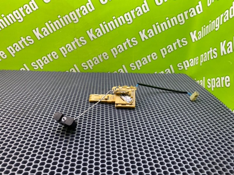 Дут, 1400 рублей, Калининград