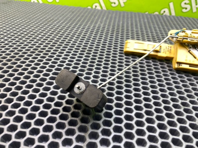 Дут, 1400 рублей, Калининград