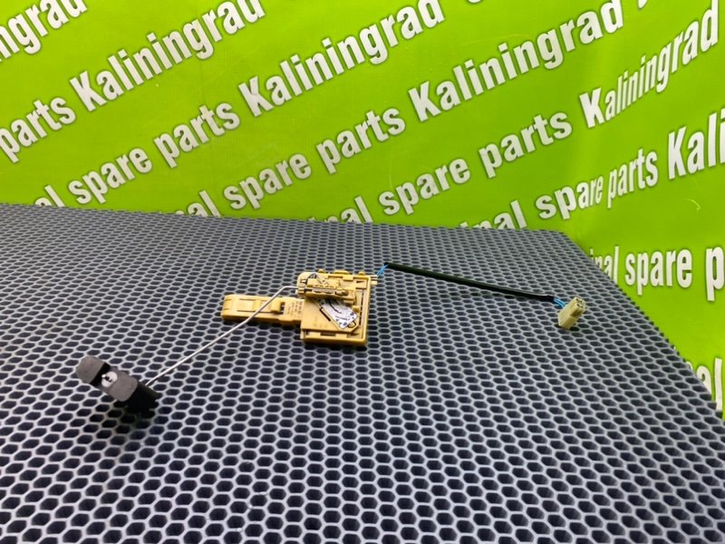 Дут, 1400 рублей, Калининград