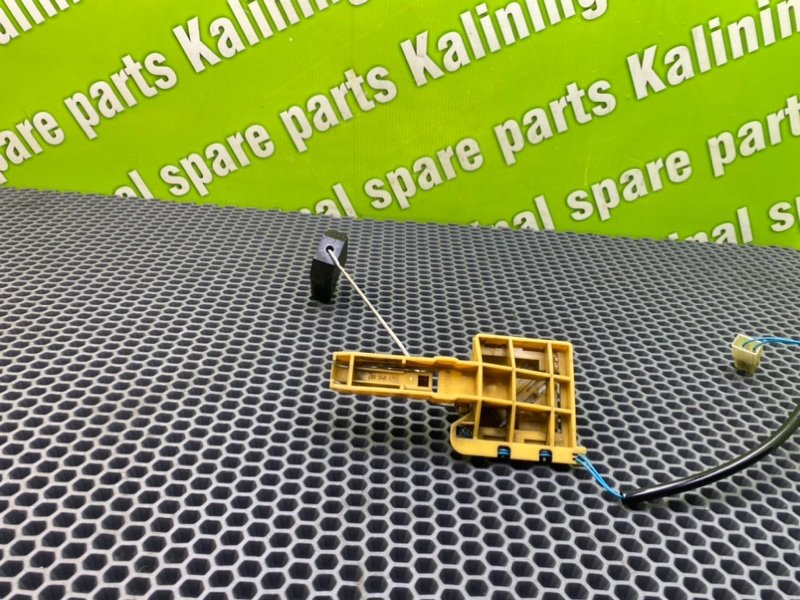 Дут, 1400 рублей, Калининград