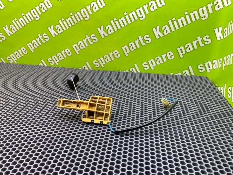 Дут, 1400 рублей, Калининград