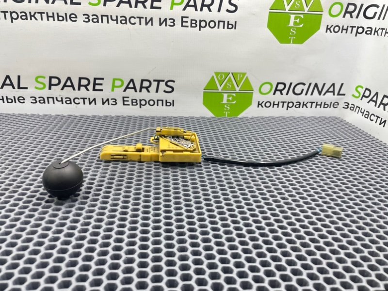 Дут, 1800 рублей, Калининград