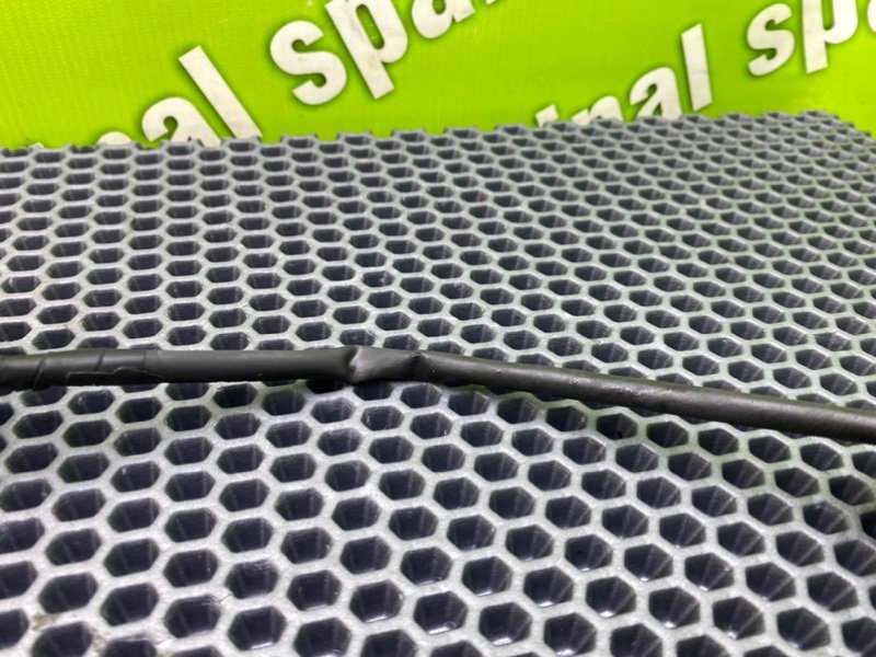 Проводка, 800 рублей, Калининград