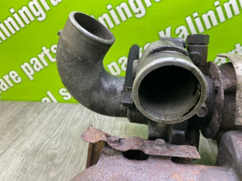 Турбина, 17300 рублей, Калининград