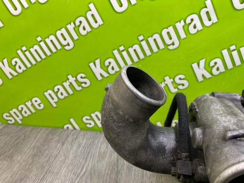 Турбина, 17300 рублей, Калининград