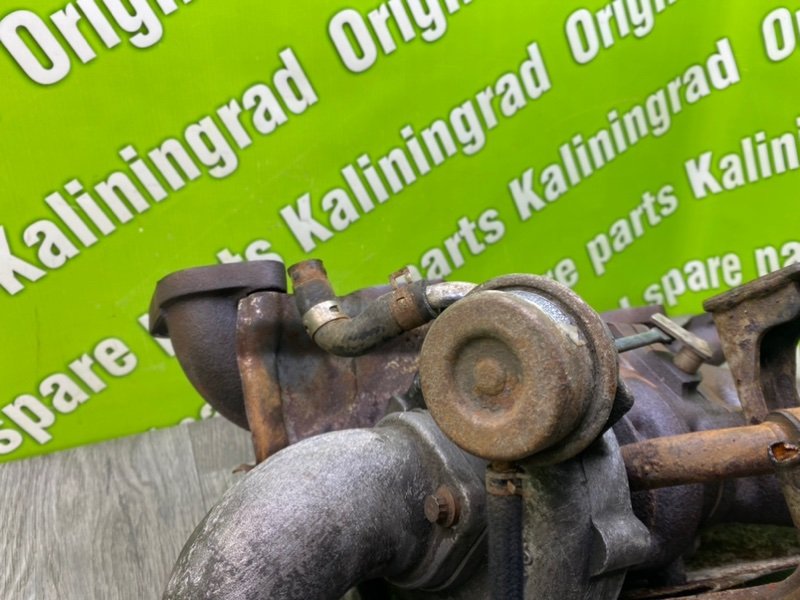 Турбина, 17300 рублей, Калининград