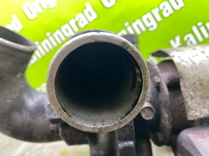 Турбина, 17300 рублей, Калининград