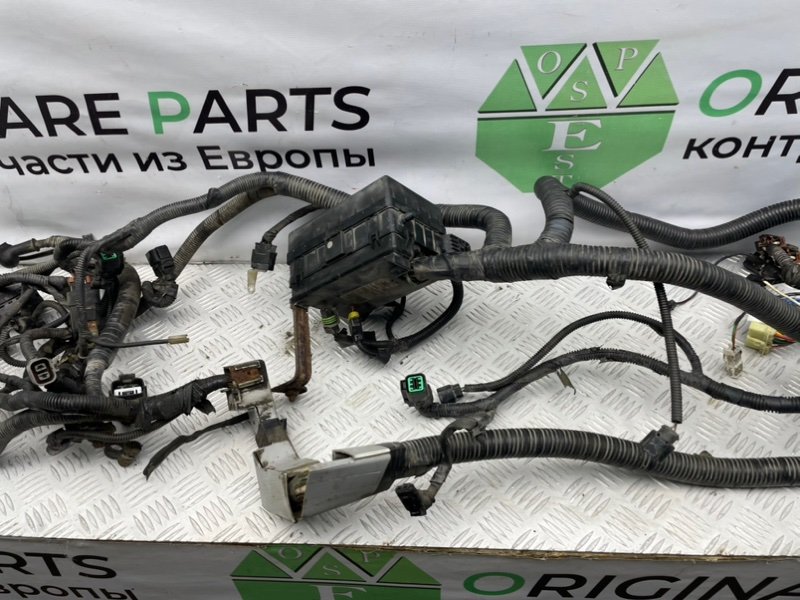 Подкапотная проводка, 8200 рублей, Калининград