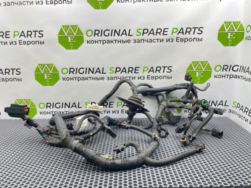 Коса мотора, 6600 рублей, Калининград