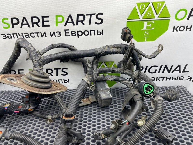 Коса мотора, 6600 рублей, Калининград