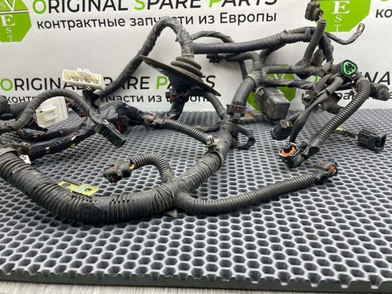 Коса мотора, 6600 рублей, Калининград