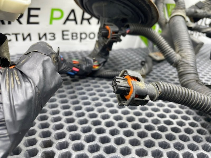 Коса мотора, 6600 рублей, Калининград