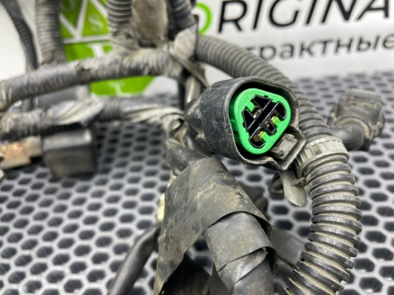 Коса мотора, 6600 рублей, Калининград