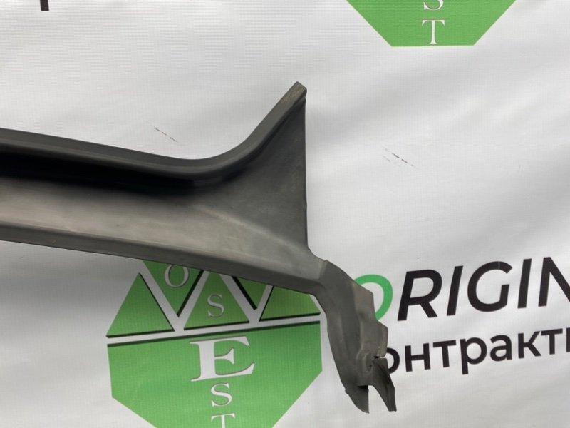 Жабо, 1000 рублей, Калининград