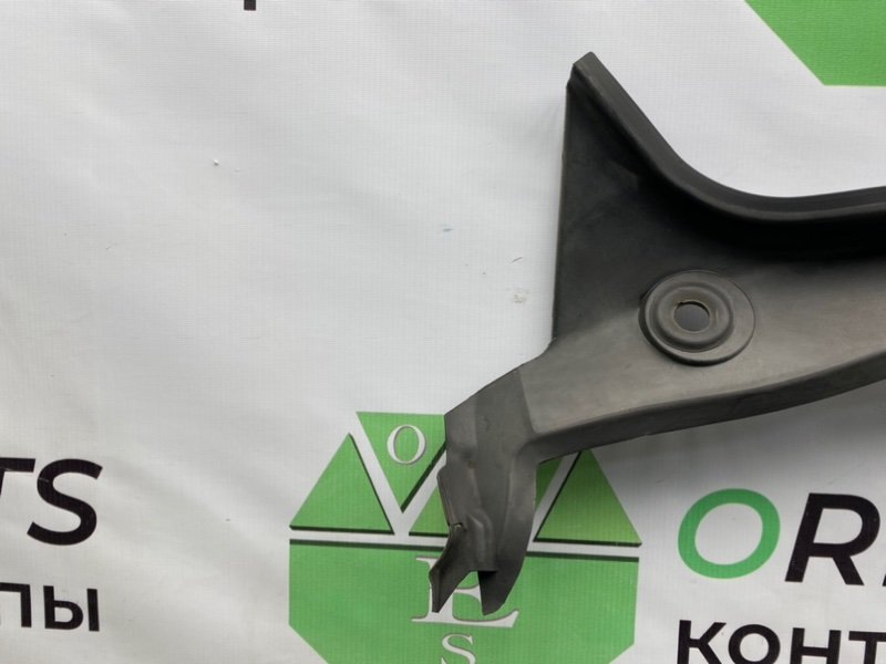 Жабо, 1000 рублей, Калининград