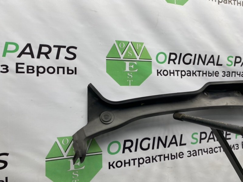 Жабо, 1000 рублей, Калининград