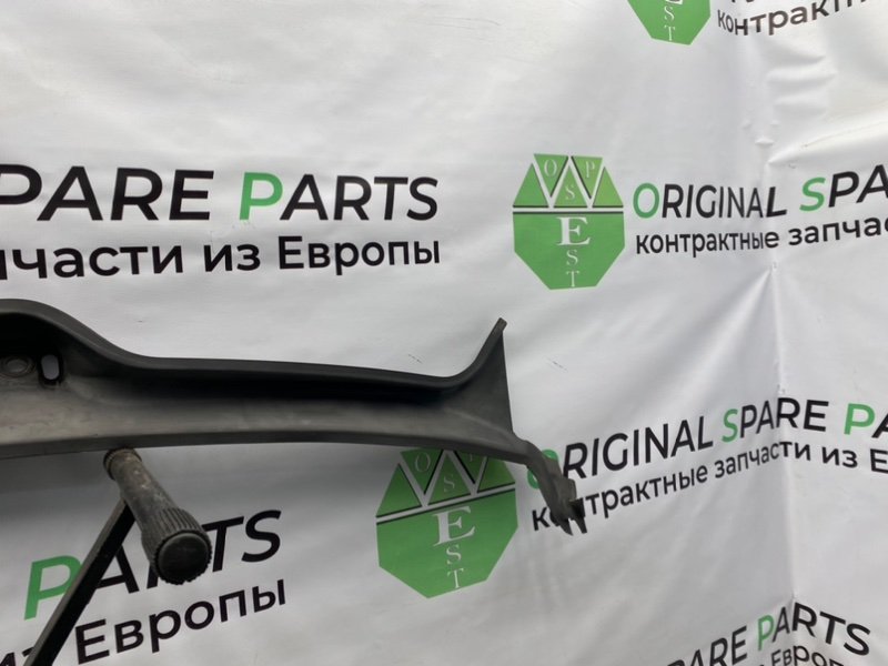 Жабо, 1000 рублей, Калининград