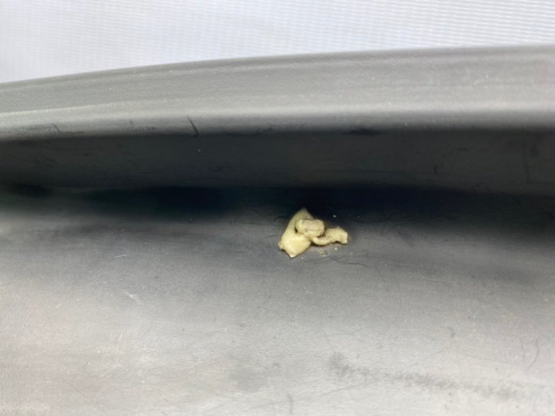 Жабо, 1000 рублей, Калининград