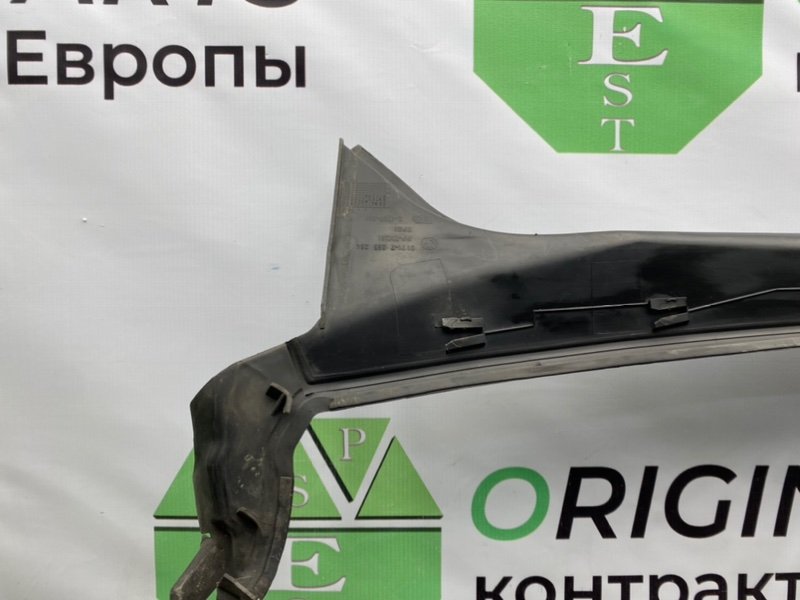 Жабо, 1000 рублей, Калининград