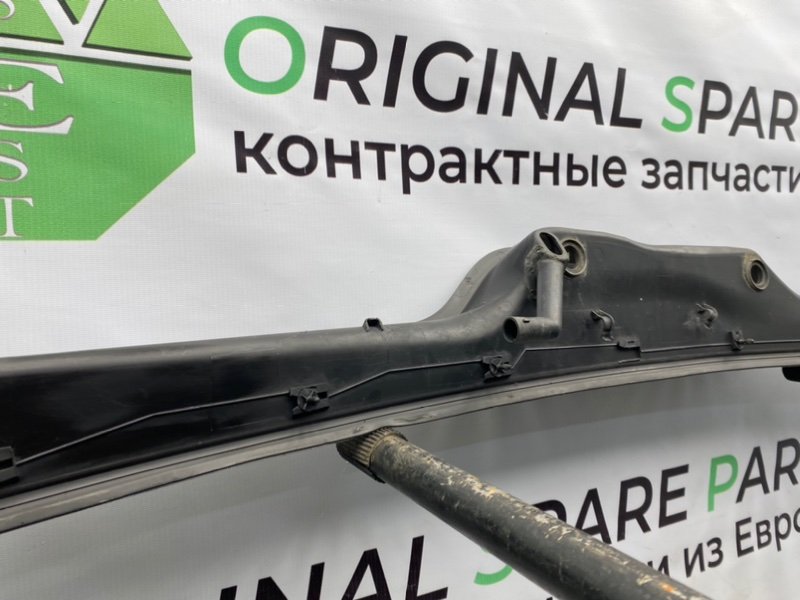 Жабо, 1000 рублей, Калининград