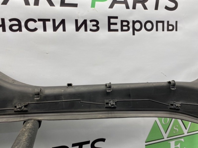 Жабо, 1000 рублей, Калининград