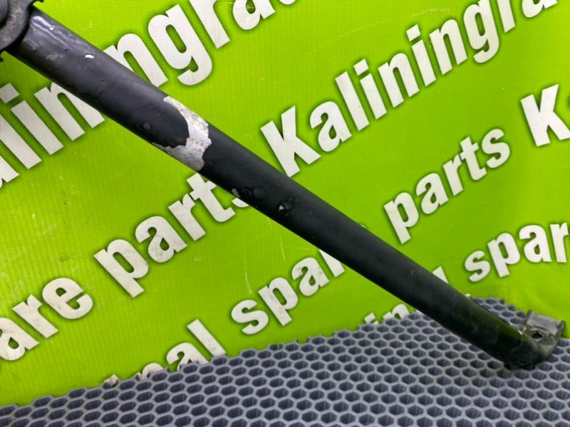 Распорка, 1000 рублей, Калининград