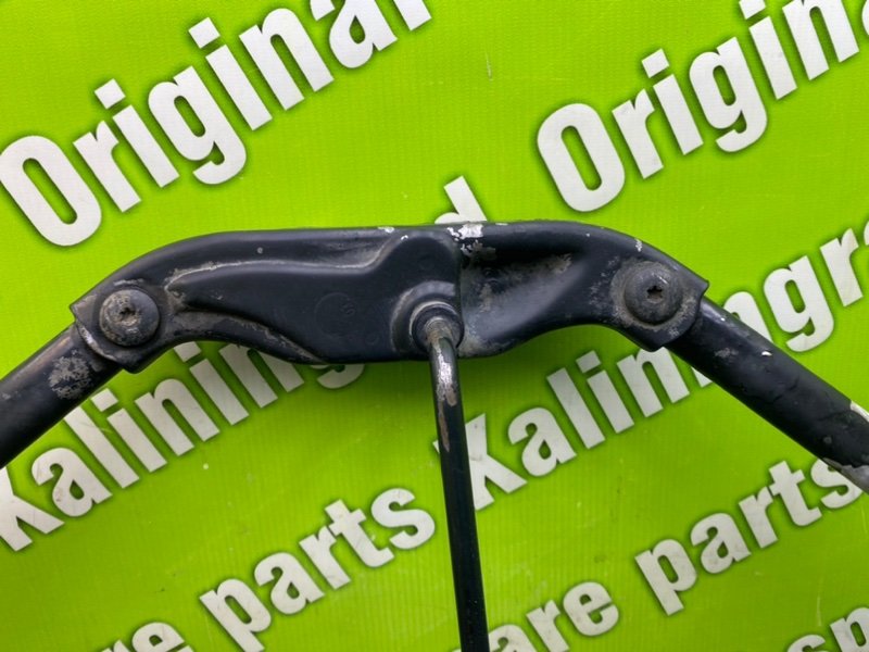 Распорка, 1000 рублей, Калининград