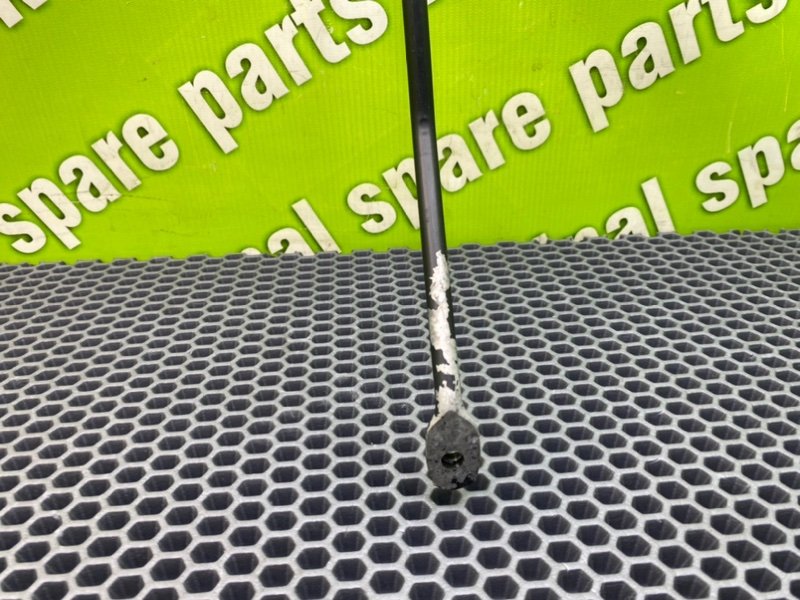 Распорка, 1000 рублей, Калининград