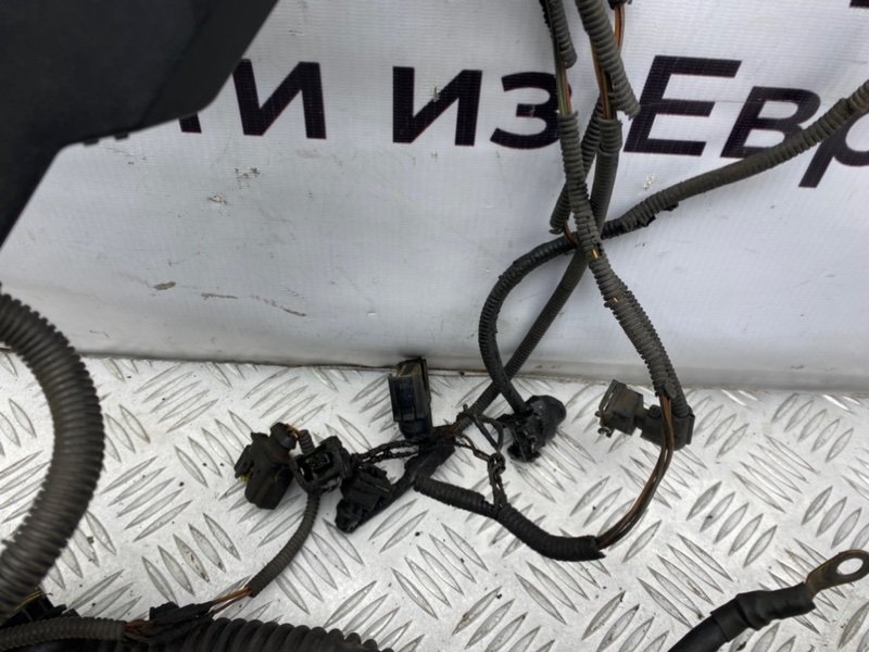 Коса мотора, 3600 рублей, Калининград