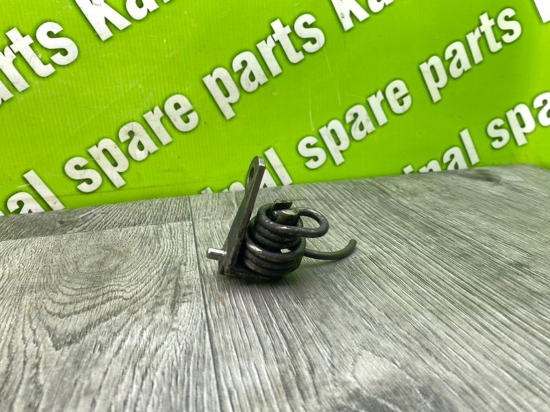 Пружина, 1000 рублей, Калининград