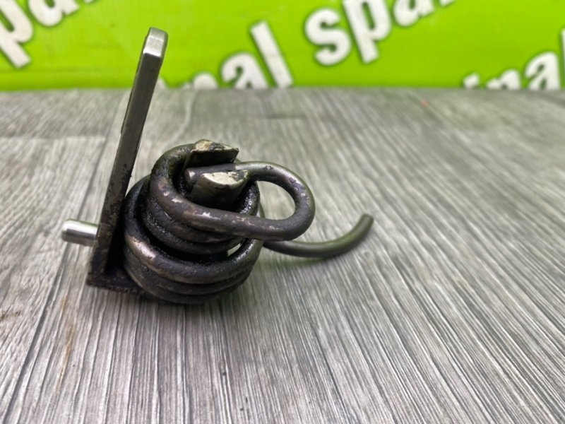 Пружина, 1000 рублей, Калининград