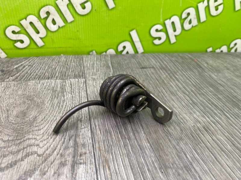 Пружина, 1000 рублей, Калининград