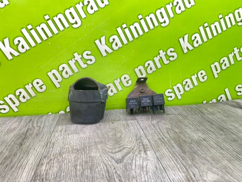 Реле, 1000 рублей, Калининград