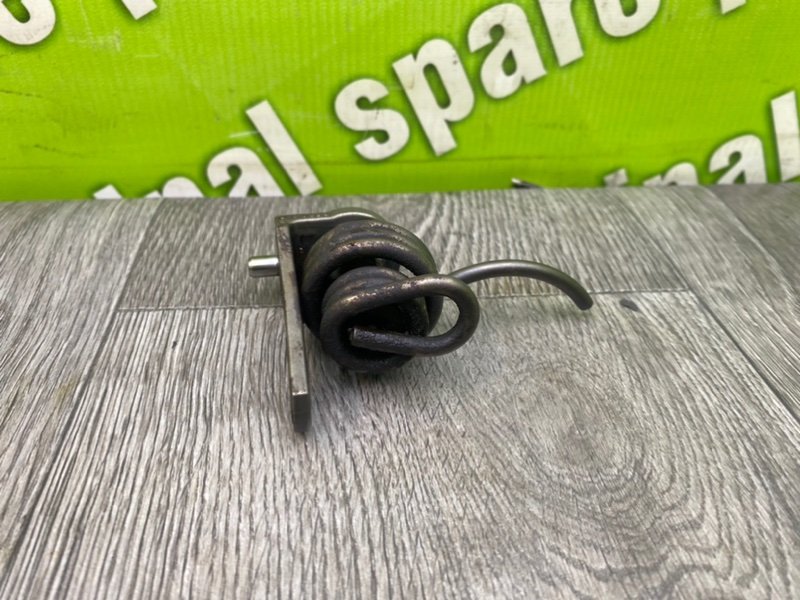 Пружина, 1000 рублей, Калининград