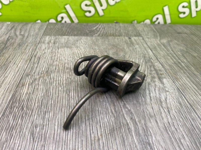 Пружина, 1000 рублей, Калининград