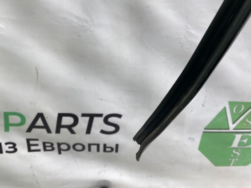 Уплотнитель стекла, 1000 рублей, Калининград