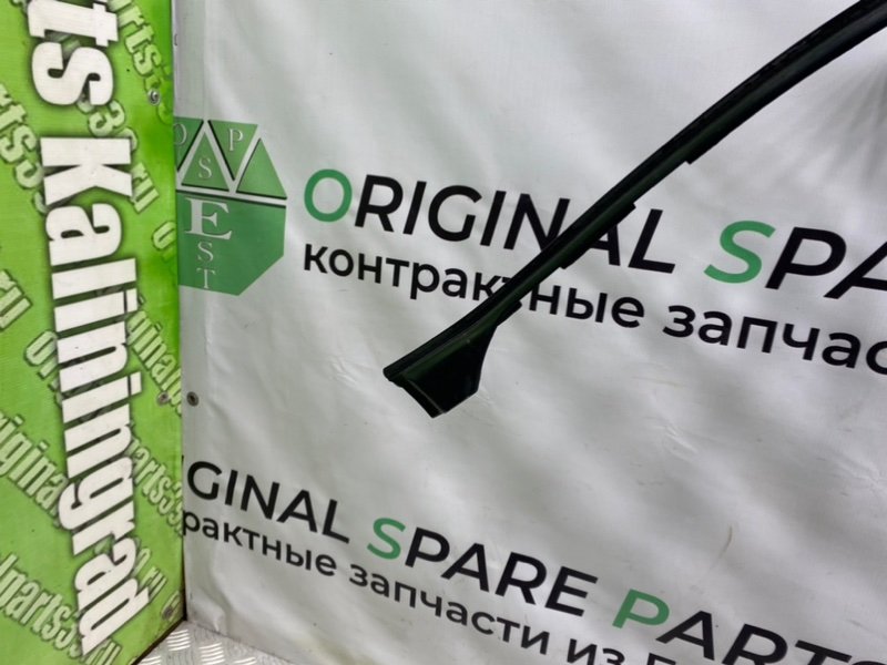 Уплотнитель стекла, 1000 рублей, Калининград