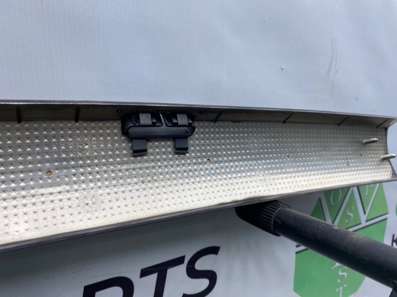 Дерево, 1600 рублей, Калининград