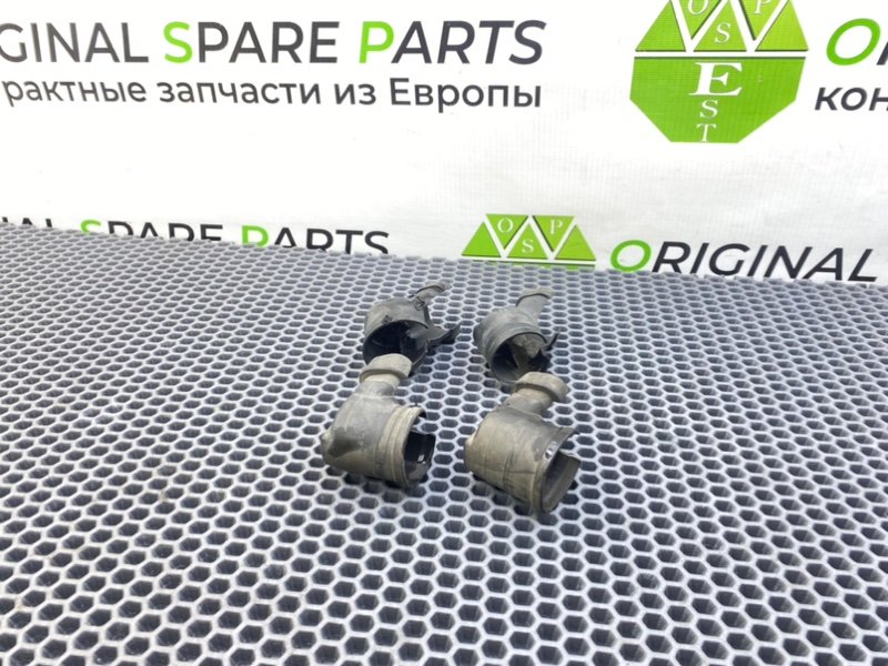 Пыльник, 1000 рублей, Калининград