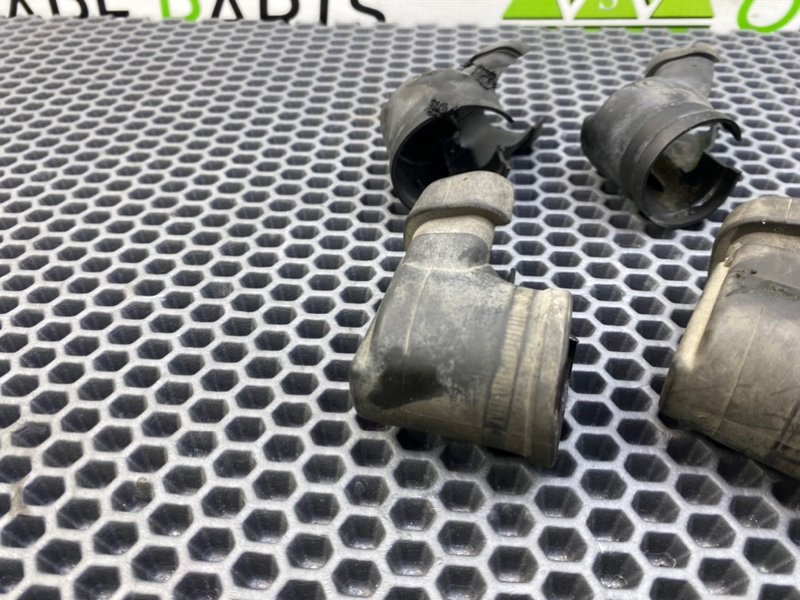 Пыльник, 1000 рублей, Калининград