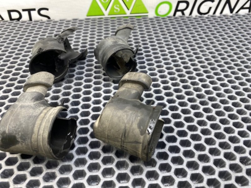 Пыльник, 1000 рублей, Калининград