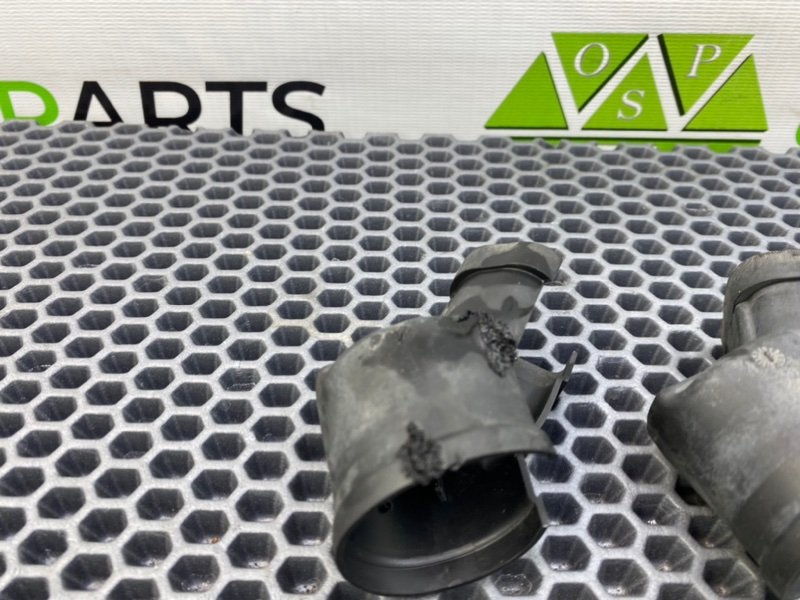 Пыльник, 1000 рублей, Калининград