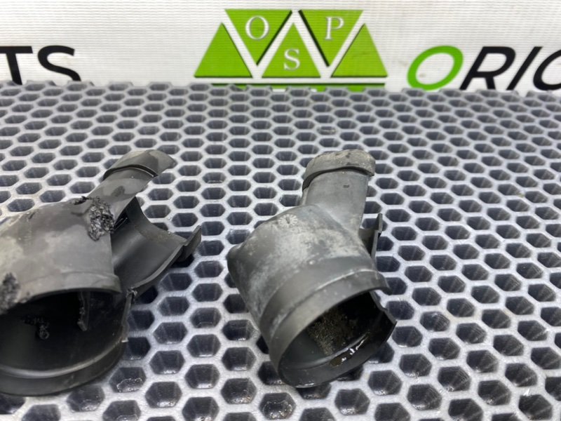 Пыльник, 1000 рублей, Калининград