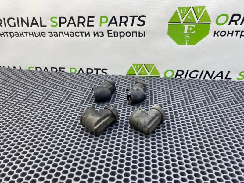 Пыльник, 1000 рублей, Калининград