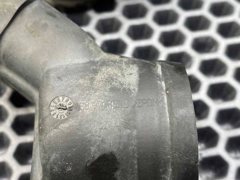 Пыльник, 1000 рублей, Калининград