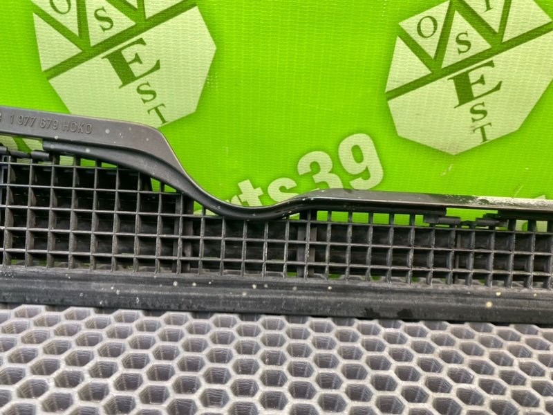 Жабо, 1000 рублей, Калининград