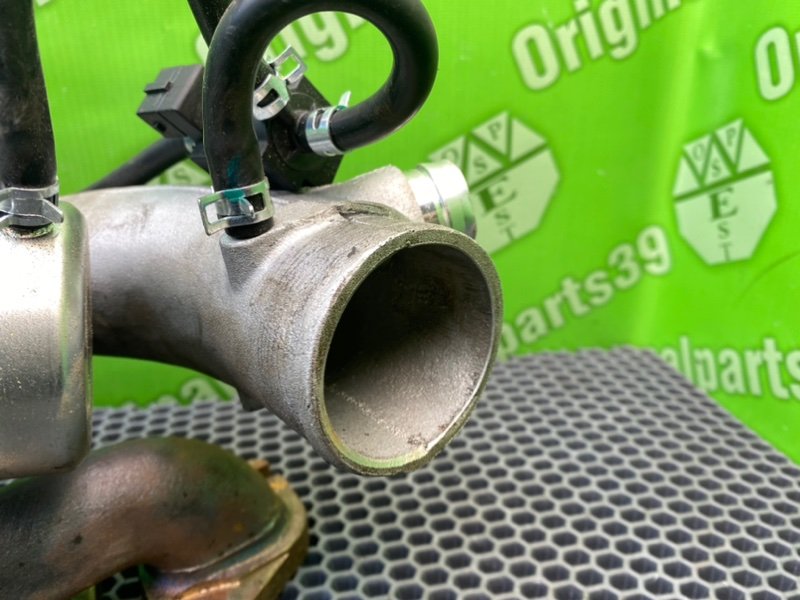 Турбина, 26400 рублей, Калининград